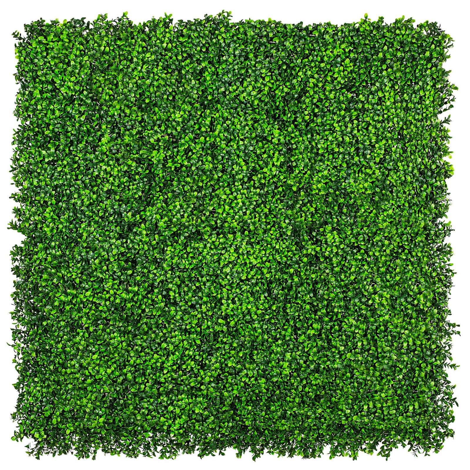 Caravan Accessories: Luxury Deluxe Buxus (Bright) Hedge Panels UV Resistant 1m X 1m
