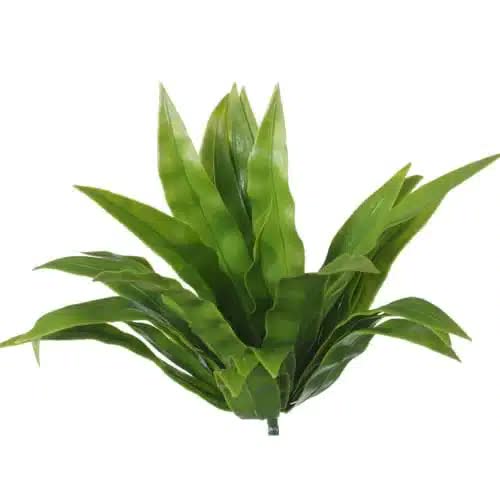 Artificial Trees: Aloe Vera Stem UV Resistant 20cm