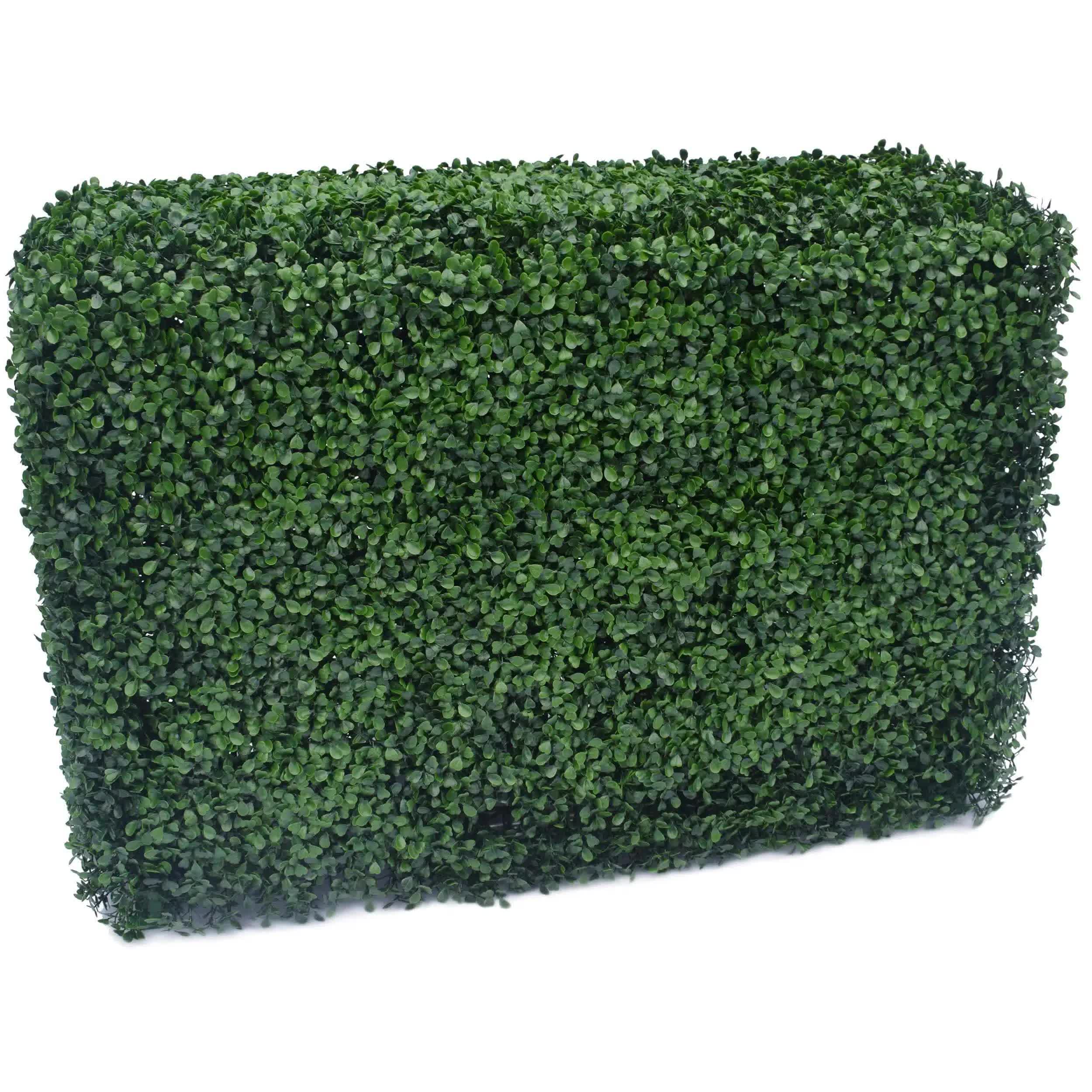 Caravan Accessories: Portable Artificial Boxwood Hedge UV Resistant 75cm High 100cm Long