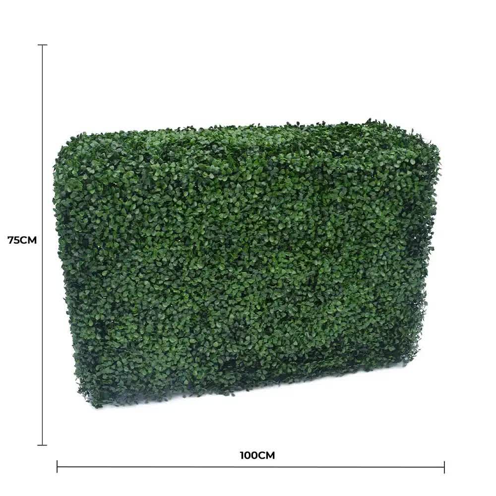 Caravan Accessories: Portable Artificial Boxwood Hedge UV Resistant 75cm High 100cm Long