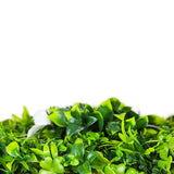 Outdoor Sofas & Lounge Sets: White Oasis UV Stabilised Vertical Garden Wall Premium Sample
