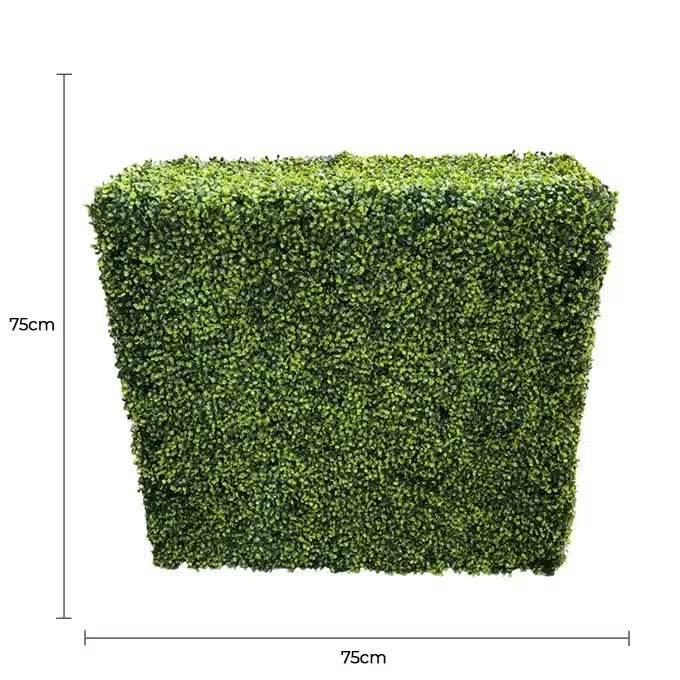 Caravan Accessories: Mixed Boxwood Hedge UV Resistant 75cm Long x 75cm High