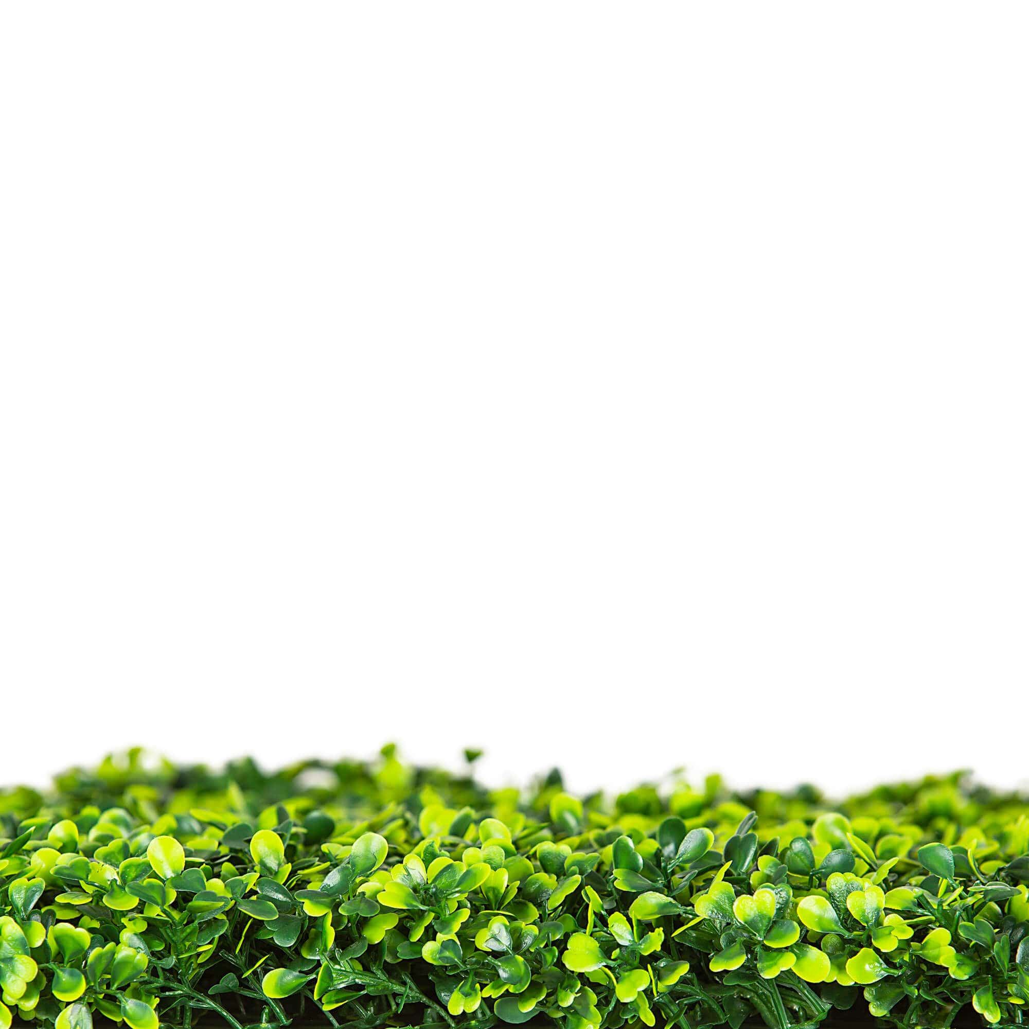 Caravan Accessories: Mixed Boxwood Hedge UV Resistant 75cm Long x 75cm High