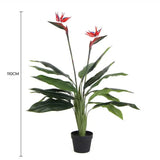 Wellness Accessories: Artificial Bird of Paradise Plant 110cm (Red Flowers)