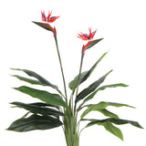 Wellness Accessories: Artificial Bird of Paradise Plant 110cm (Red Flowers)