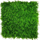 Artificial Trees: Mediterranean Fern Vertical Garden / Green Wall UV Resistant SAMPLE