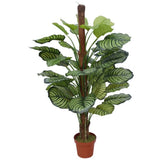 Greenhouses & Accessories: Pond Leaf Plant 110cm