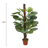 Greenhouses & Accessories: Pond Leaf Plant 110cm