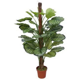Greenhouses & Accessories: Pond Leaf Plant 110cm