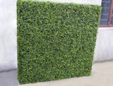 Caravan Accessories: Large Portable Mixed Boxwood Hedge 1.5m by 1.5m UV Resistant