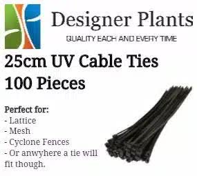 Automotive Repair & Speciality Tools: 25cm UV Cable ties (wire, mesh or surfaces with holes) - 100 Pack