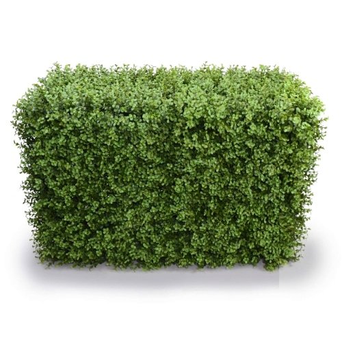 Artificial Trees: Deluxe Portable Buxus Hedge UV Resistant 100cm Long x 50cm High