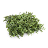 Artificial Trees: Deluxe Portable Buxus Hedge UV Resistant 100cm Long x 100cm High