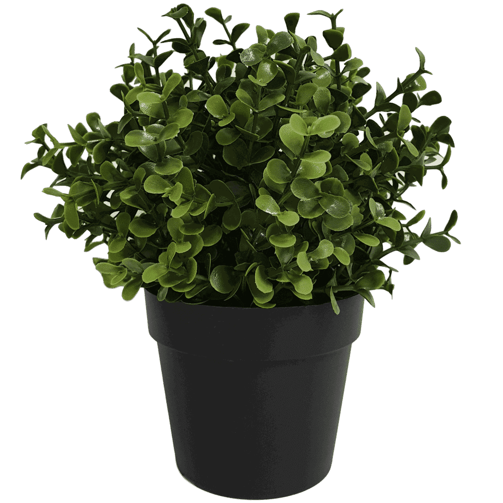 Artificial Trees: Small Potted Artificial Buxus Plant UV Resistant 20cm