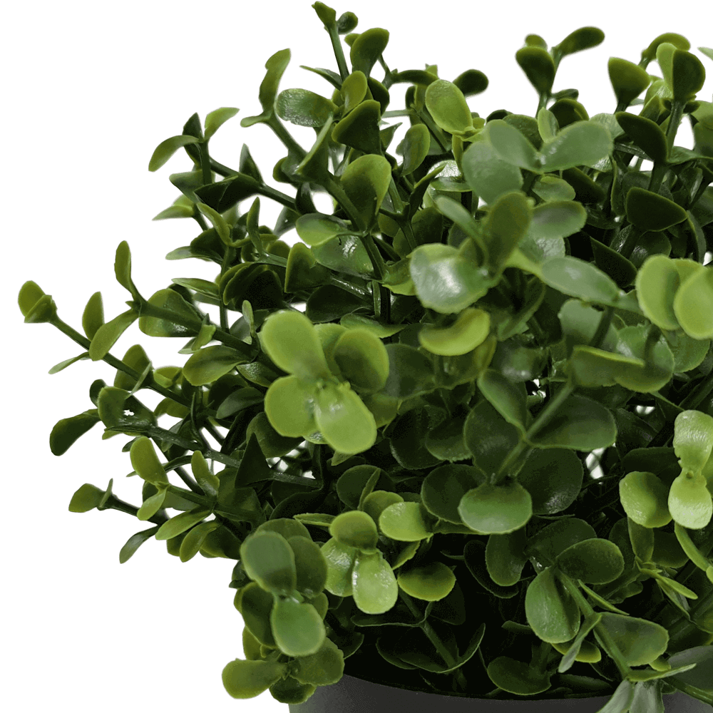 Artificial Trees: Small Potted Artificial Buxus Plant UV Resistant 20cm