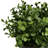 Artificial Trees: Small Potted Artificial Buxus Plant UV Resistant 20cm