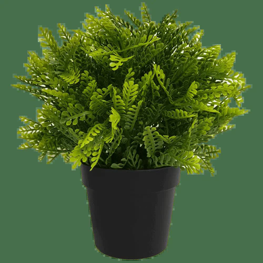 Small Potted Artificial Mimosa Fern UV Resistant 20cm
