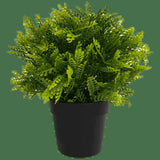 Artificial Hanging Plants: Small Potted Artificial Mimosa Fern UV Resistant 20cm