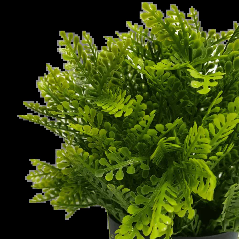 Small Potted Artificial Mimosa Fern UV Resistant 20cm