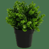 Artificial Hanging Plants: Small Potted Artificial Peperomia Plant UV Resistant 20cm