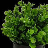 Artificial Hanging Plants: Small Potted Artificial Peperomia Plant UV Resistant 20cm