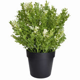 Artificial Potted Plants: Small Potted Artificial White Jade Plant UV Resistant 20cm