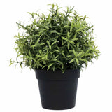Aroma Diffusers: Small Potted Artificial Rosemary Herb Plant UV Resistant 20cm