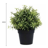 Aroma Diffusers: Small Potted Artificial Rosemary Herb Plant UV Resistant 20cm
