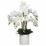 Canopies & Gazebos: Large Multi-Stem White Potted Faux Orchid 65cm