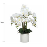 Canopies & Gazebos: Large Multi-Stem White Potted Faux Orchid 65cm