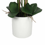 Canopies & Gazebos: Large Multi-Stem White Potted Faux Orchid 65cm