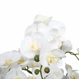 Canopies & Gazebos: Large Multi-Stem White Potted Faux Orchid 65cm