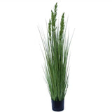 Gardening Tools: Flowering Native Grass 120cm