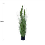 Gardening Tools: Flowering Native Grass 120cm
