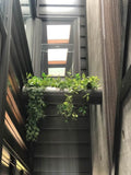 Caravan Accessories: Dense Trailing Greenery UV Resistant 90cm
