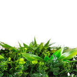Caravan Accessories: Wild Tropics Vertical Garden / Green Wall UV Resistant 100cm X 100cm
