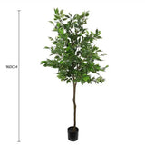 Artificial Trees: Artificial Potted Ficus Tree 160cm