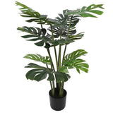 Scissors: Split Philodendron Monstera Deliciosa (Split Leaf) 120cm