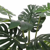 Scissors: Split Philodendron Monstera Deliciosa (Split Leaf) 120cm