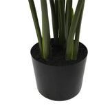 Scissors: Split Philodendron Monstera Deliciosa (Split Leaf) 120cm