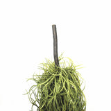 Artificial Trees: Artificial Air Plant / Spanish Moss (Old Man Beard) 60cm