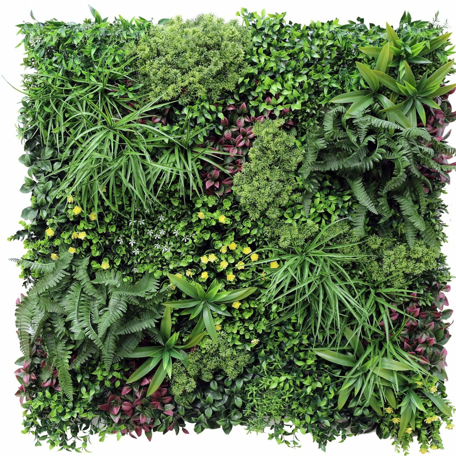 Wellness Accessories: Luxury Country Fern Recycled Vertical Garden / Green Wall UV Resistant Sample