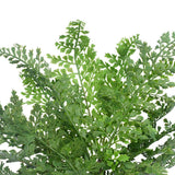 Canopies & Gazebos: Faux Maiden Hair Fern Stem 40cm