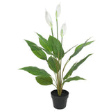 Wellness Accessories: Artificial Flowering White Peace Lily / Calla Lily 95cm