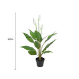 Wellness Accessories: Artificial Flowering White Peace Lily / Calla Lily 95cm