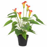 Wellness Accessories: Artificial Flowering White & Orange Peace Lily / Calla Lily Plant 50cm