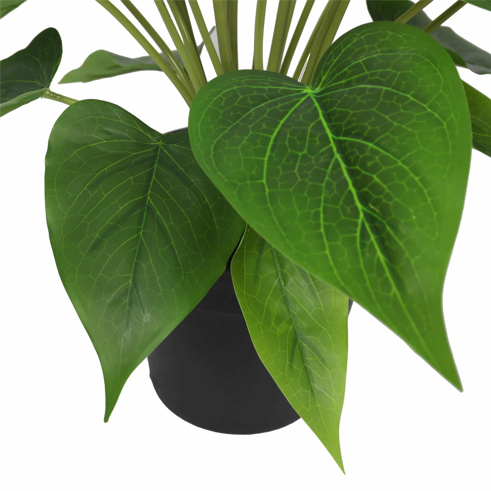 Wellness Accessories: Artificial Flowering White & Orange Peace Lily / Calla Lily Plant 50cm