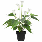 Wellness Accessories: Artificial Flowering White Peace Lily / Calla Lily Plant 50cm