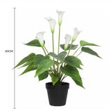 Wellness Accessories: Artificial Flowering White Peace Lily / Calla Lily Plant 50cm