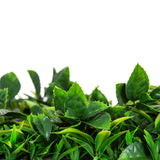 Wellness Accessories: Flowering Lilac Vertical Garden / Green Wall UV Resistant Sample